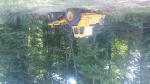 Forwarder VOLVO 868  |  Gozdarski stroji | Stroji za obdelavo lesa | Adam