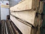 Lipa Žagan les za mizarstvo | Trd les | Žagan les | JAF HOLZ Slovakia
