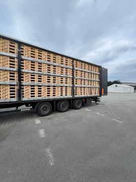 Palete Palete za enkratno uporabo | Embalaža, palete | Woodproo s.r.o.