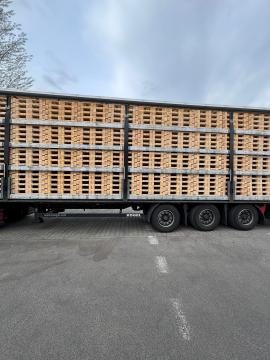 Palete Palete za enkratno uporabo | Embalaža, palete | Woodproo s.r.o.