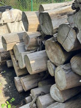 Tik Hlodovina za žaganje |  Tropski les | Hlodovina | SOFT IT SP .ZO.O SPÓŁKA Z OGRANICZONĄ ODPO