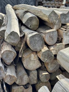 Tik Hlodovina za žaganje |  Tropski les | Hlodovina | SOFT IT SP .ZO.O SPÓŁKA Z OGRANICZONĄ ODPO