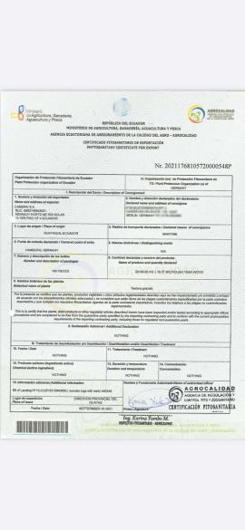 Tik Žagan les za mizarstvo |  Tropski les | Žagan les | SOFT IT SP .ZO.O SPÓŁKA Z OGRANICZONĄ ODPO